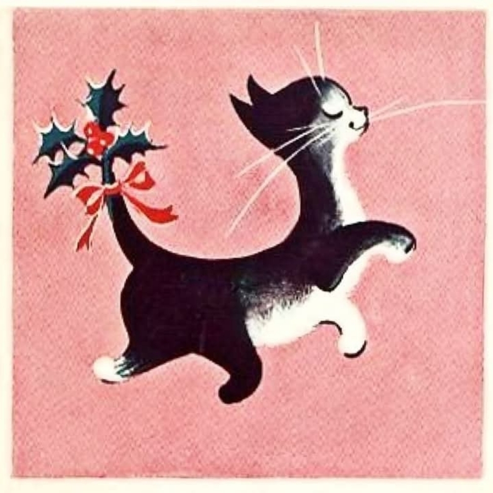 Meet your Posher, Angie